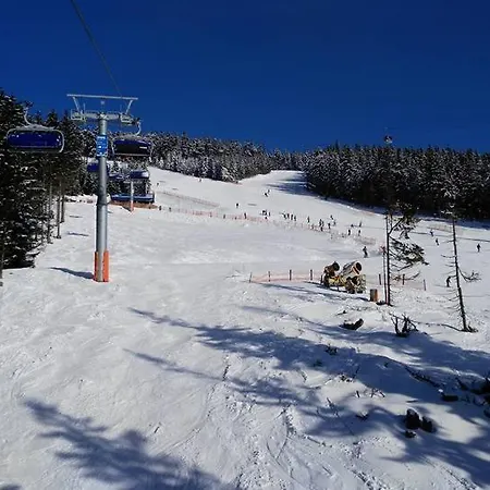 Naproti Lesu 2 *