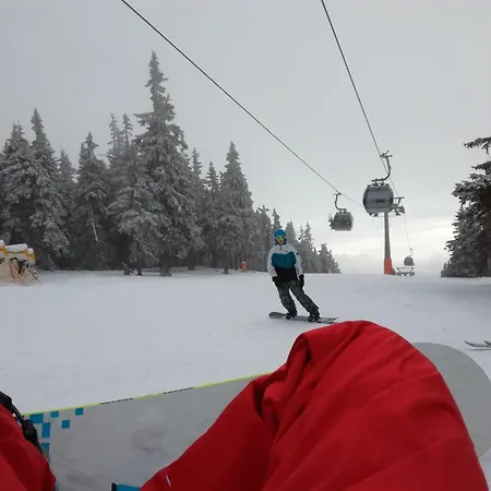 Potucek Naproti Lesu 2 - 2x Parking In Price * تشيرني دول